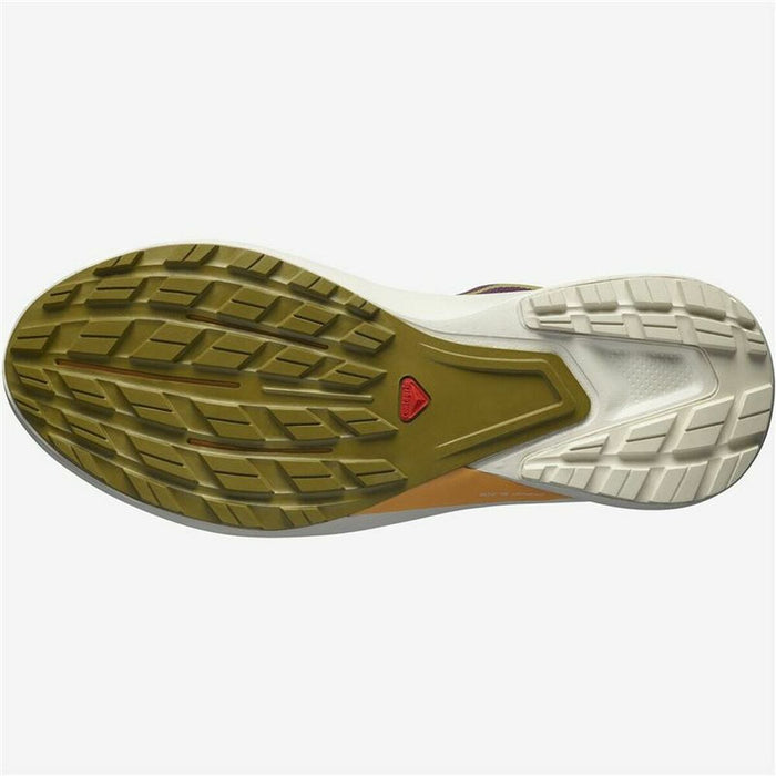 Running Shoes for Adults Salomon  Hypulse